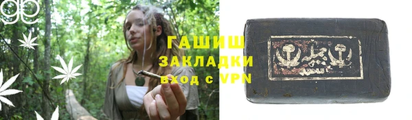 сатива Горняк