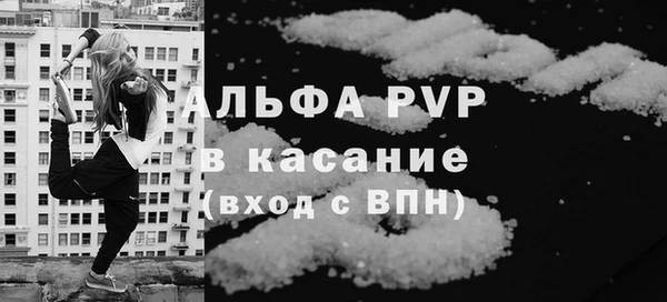 сатива Горняк