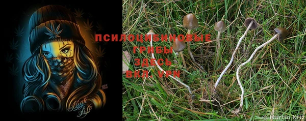 соль ск Вяземский