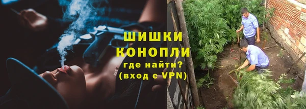 не бодяженный Пересвет