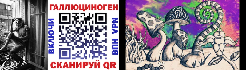 Псилоцибиновые грибы прущие грибы  Жуков 